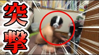 【恐怖】ゲーム中の相手が自分の部屋に入ってくるドッキリｗｗｗｗｗｗｗｗｗwwwwwｗｗｗｗｗ