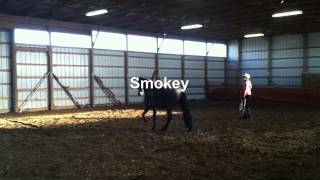 preview picture of video 'Smokey Lunging at Wild Heart Farm'
