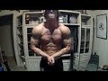 Full Shoulder/Traps Workout