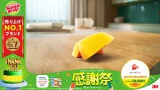 スコッチ・ブライト™ ハイブリッド貼り合わせスポンジ Web CM ”食器洗いのチャンピオン!?” (15秒）