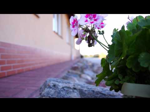 Gospodarstwo Agroturystyczne "U Antosia"