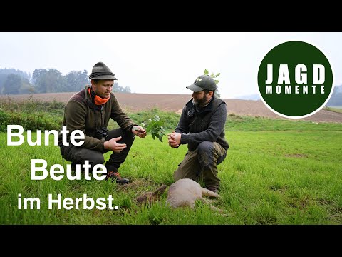 Colorful prey with PIRSCH editor-in-chief Martin Weber | Hunting moments with Felix | Web series #8