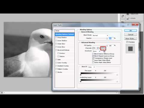 How to View Photoshop Full Screen