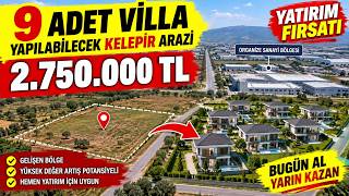 Sakarya - Kaynarca - Kelepir Tarla #yatırım #arsa