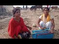 Desi Street Singer Talent On Our Village