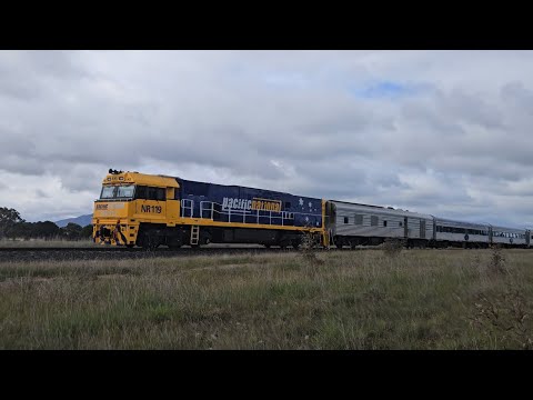 6MA8 JBRE The Overland (NR119), Melbourne to Adelaide, 1115, 20/9/24, Ararat South VIC
