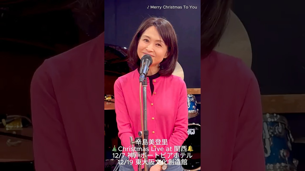 Merry Christmas To You / 辛島美登里