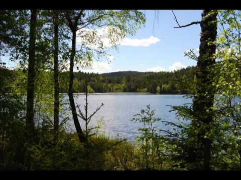 Christian Zechner presents Antares 101 - Lost Boy