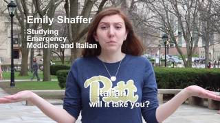Welcome to Pitt