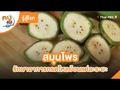 สมุนไพรรักษาอาการกรดไหลย้อนแต่ละระยะ