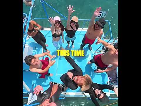 They Threw a Camera Into the Sky… What It Captured Is Insane 😳