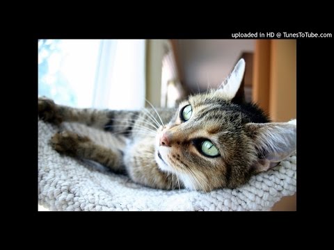 19EIGHTY7 - Get It On (Extended Version)