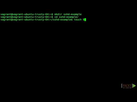 Beginning Docker Writing and Building a Dockerfile | packtpub com