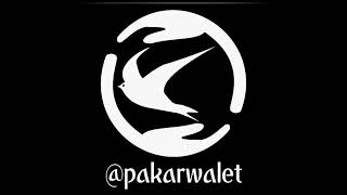Download lagu Open Protec !! SP @pakarwalet Part 2 || Harga 1.500.000 mp3 Download lagu Open Protec !! SP @pakarwalet Part 2 || Harga 1.500.000 mp3