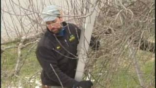 Tree Pruning with SavATree