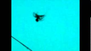 Of the Wand and the Moon - Black Moth