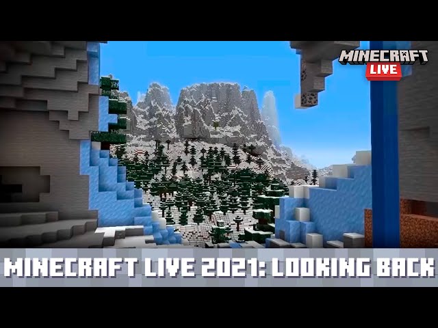 Minecraft 1.17.1 update expected release date and time