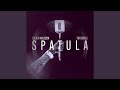 Spatula