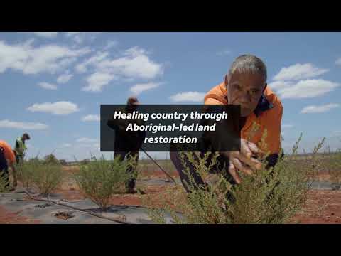 Stephen van Leeuwen | Conservationist
