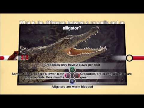 NatGeo Quiz! Wild Life Xbox 360