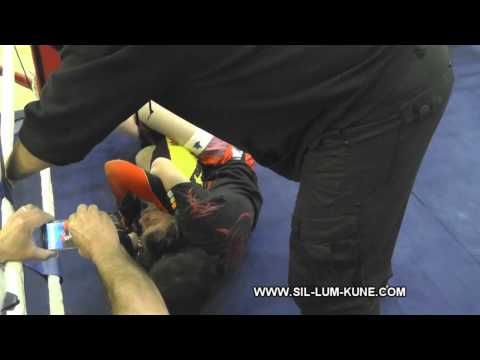 Toby Foxon WKA-Kwon MMA Final