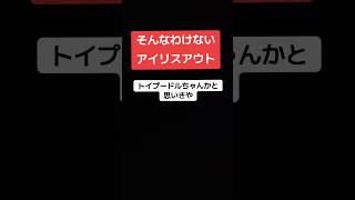そんなわけないアイリスアウト