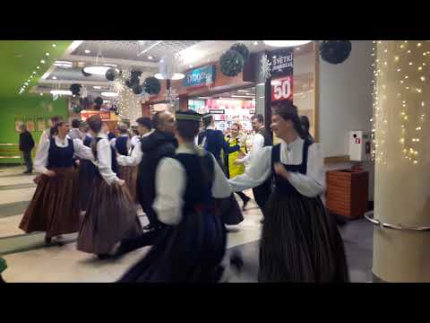 TDA Zīle danco T/C Liibā