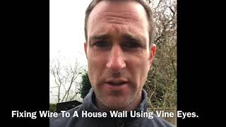 How To Support Climbers With Wire and Vine Eyes, Supporting Climbing Plants, Home DIY