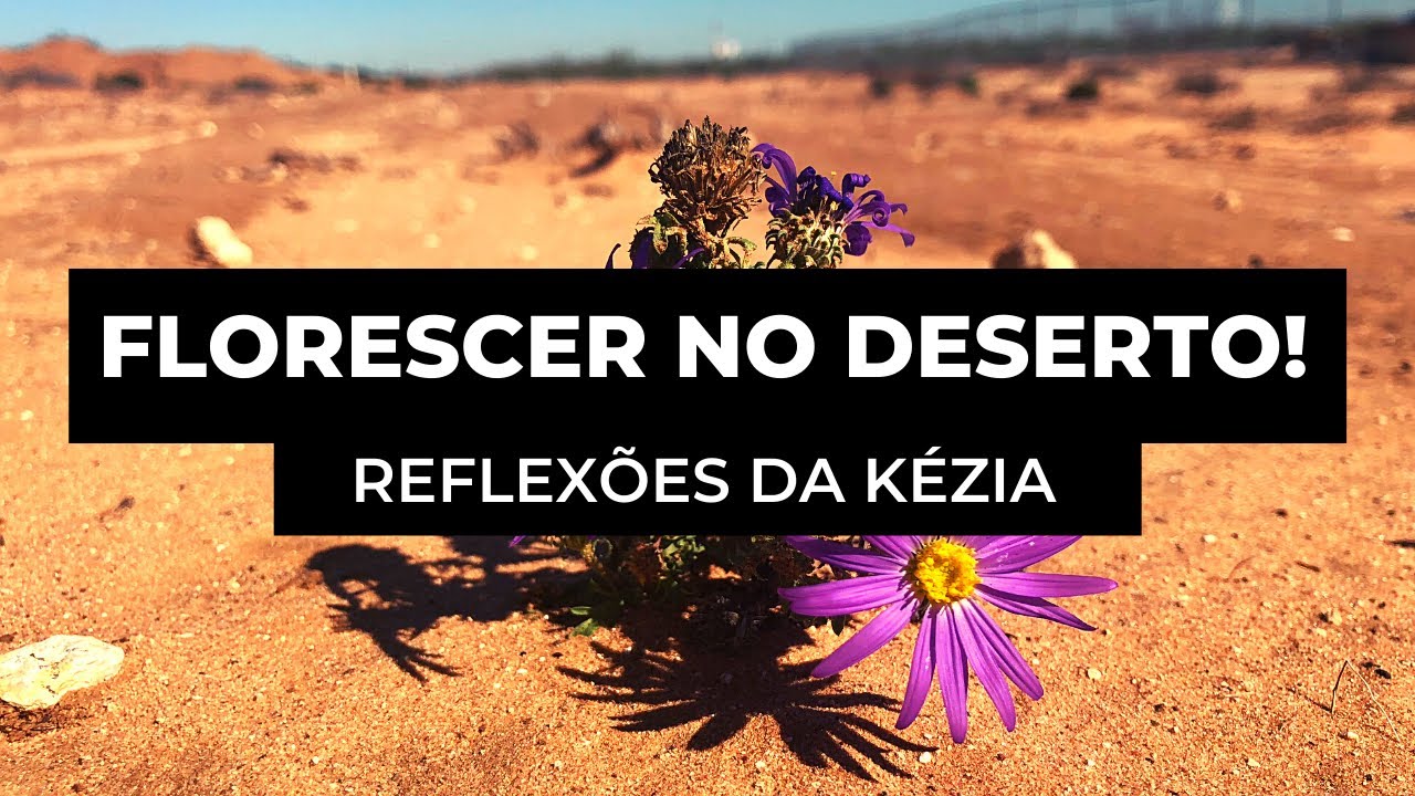 Florescer no Deserto! Reflexões e Devocionais!