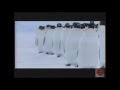 March Of The Penguins Television Commercial 2005