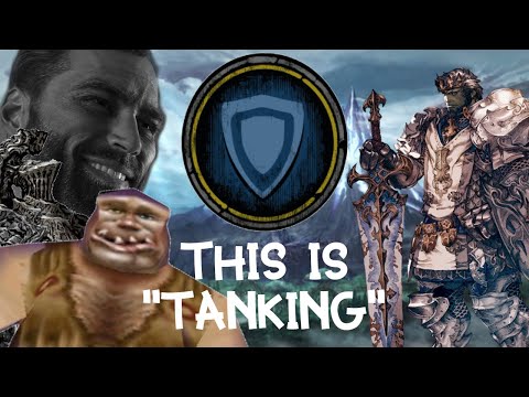 So you want to play a TANK in an MMO?