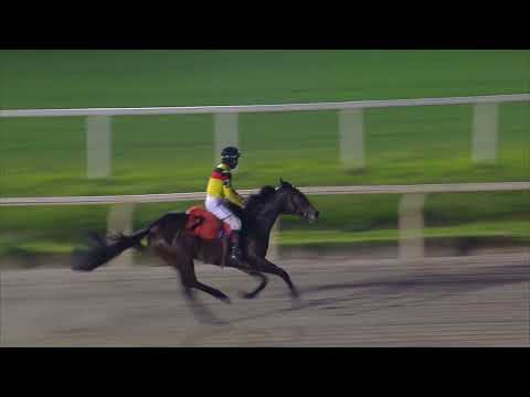 231022 c12 SOY FIGURA