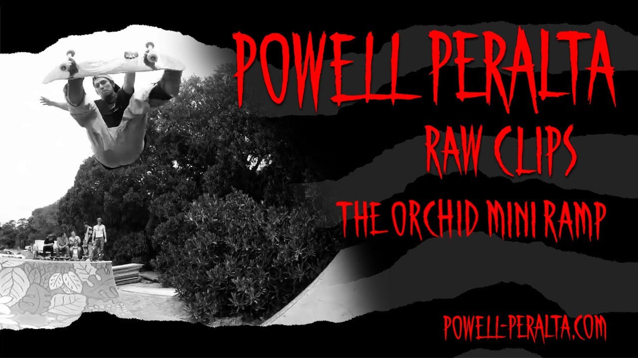 The Orchid Mini Ramp