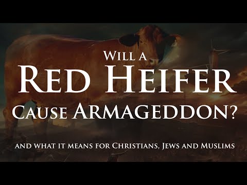 Will a Red Heifer Cause Armageddon near the April 8 2024 Eclipse and what it means