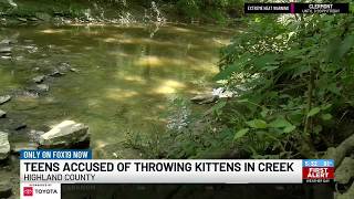 Highland County teens accused of throwing kittens into creek