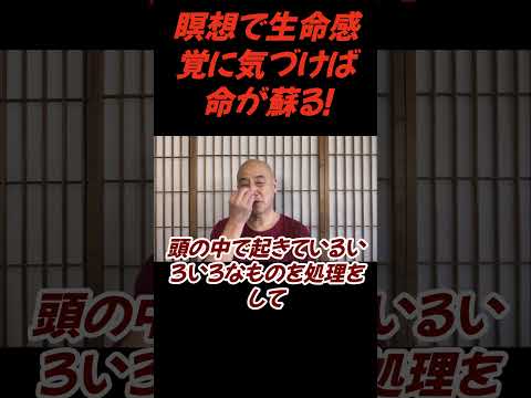 仏教学科 瞑想で生命感覚に気づけばそこに私の真実がある#切り抜き＃ヨガ＃健康#仏教＃瞑想＃マインドフルネス
