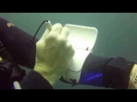 Happy Birthday Shauna