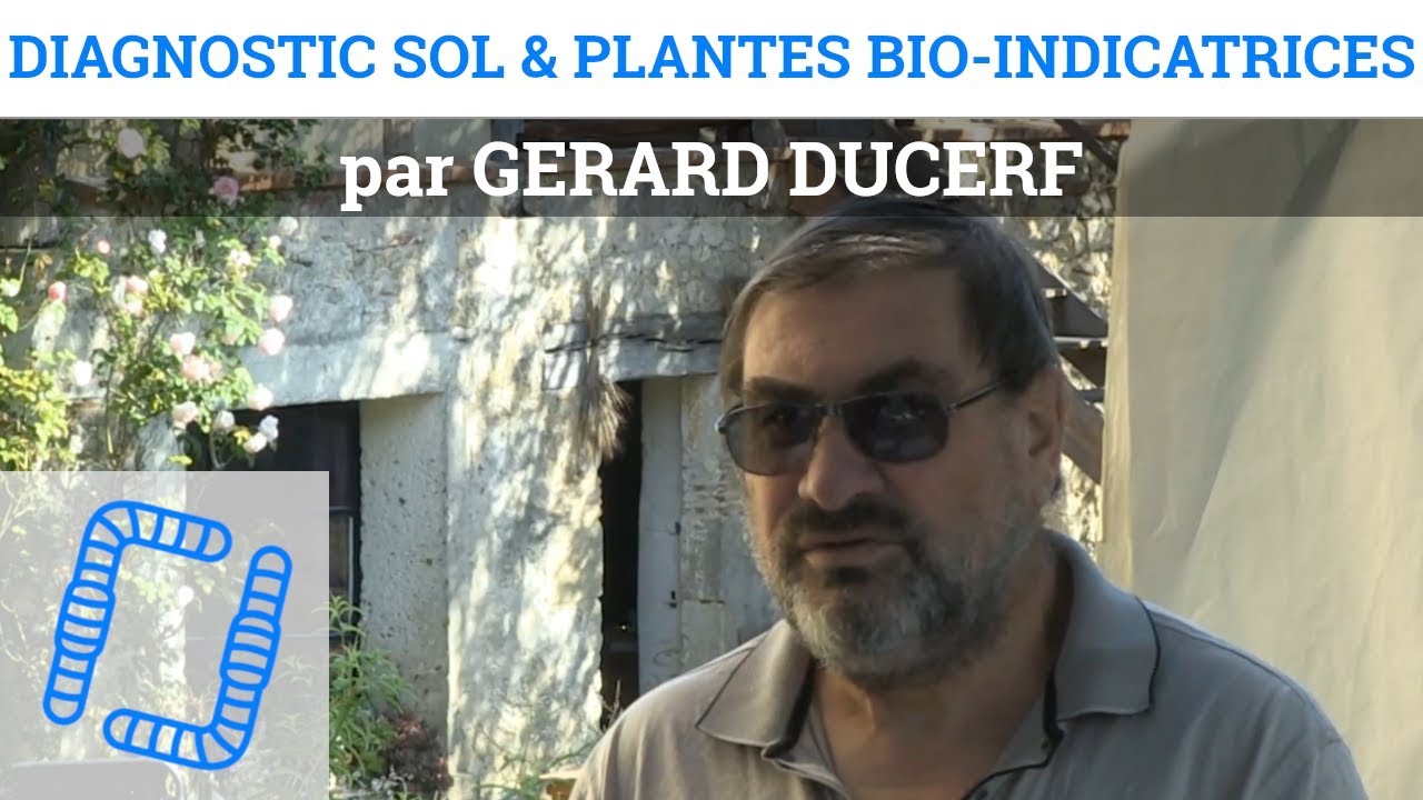 Plantes Bio-Indicatrices - Gérard DUCERF