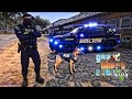 GTA 5 Sheriff Monday Patrol|| Ep 176| GTA 5 Mod Lspdfr K9|| #lspdfr #stevethegamer55