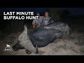 Buffalo Hunting With DFW Gunwerks Skuhl John X Safaris