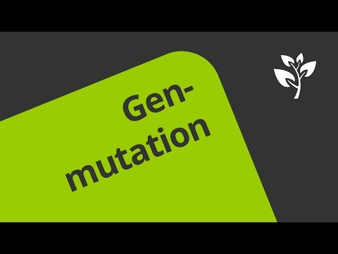 Die Entstehung einer Genmutation | Biologie | Genetik