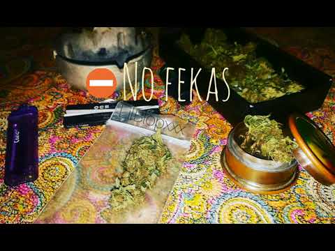 No fekas - LilBlopxxx