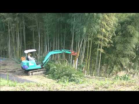 45 Cenário no início da tarde (aparece ajudante) 1024 09/11