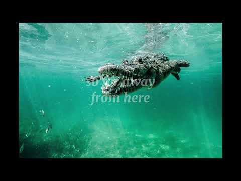 Horizon - Finley | Lyric Video (from LEGO Legends of Chima)