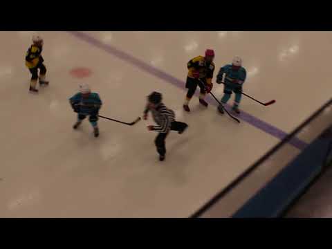 Pelicans Mustat (AA) - Pingviinit Kuninkaat (AA) 1.4.2018 09:00 - 2. erä