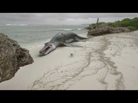 Introducing Archaeopteryx: The First Bird