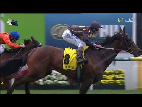 2016 Merlin Garage Door Openers Stakes (Tesio Stakes) G3 - Kaniana (金利安納) - D.Lane