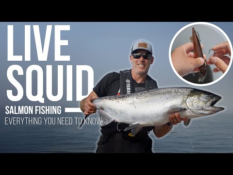 Reel West Coast and 2 more