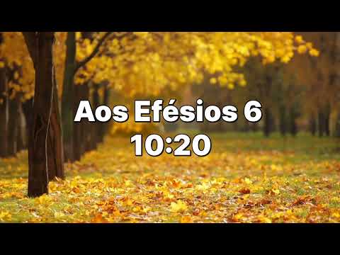 Aos Efésios 6:10-20 A armadura de Deus