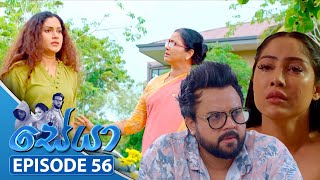 Seya | Episode 56 - (2025-05-20) | ITN preview image